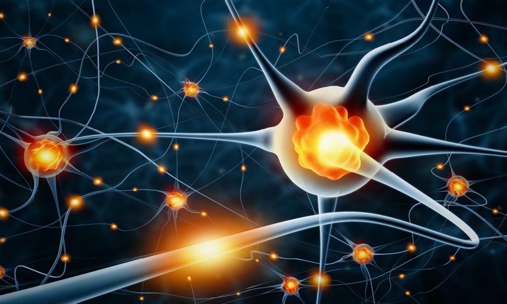 How Creativity can Form New Neural Pathways