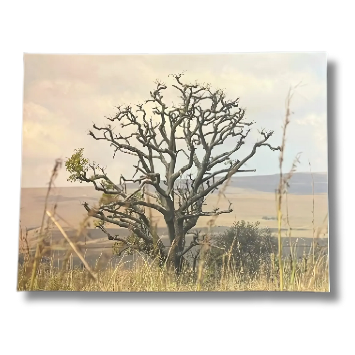 Canvas Printing