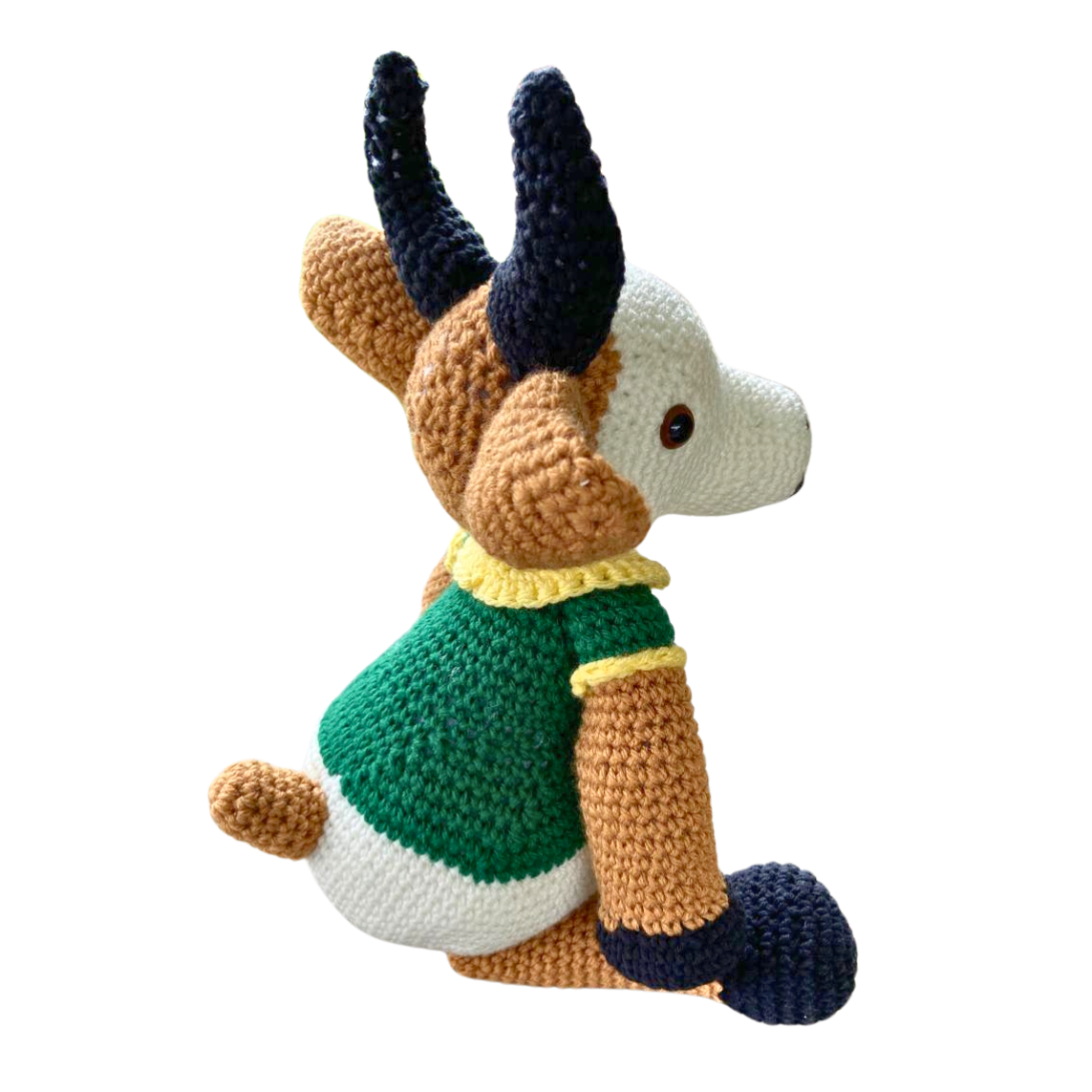 Springbokkie