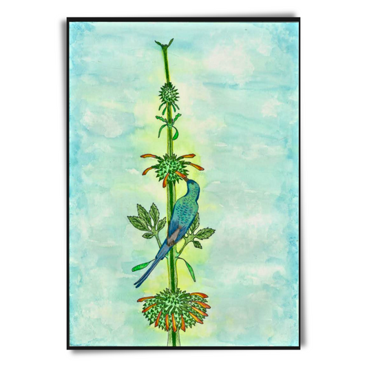 Sunbird Print