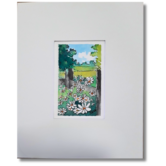 Daisies