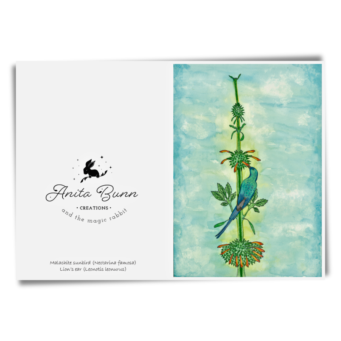 Sunbird on Lion's Ear Card